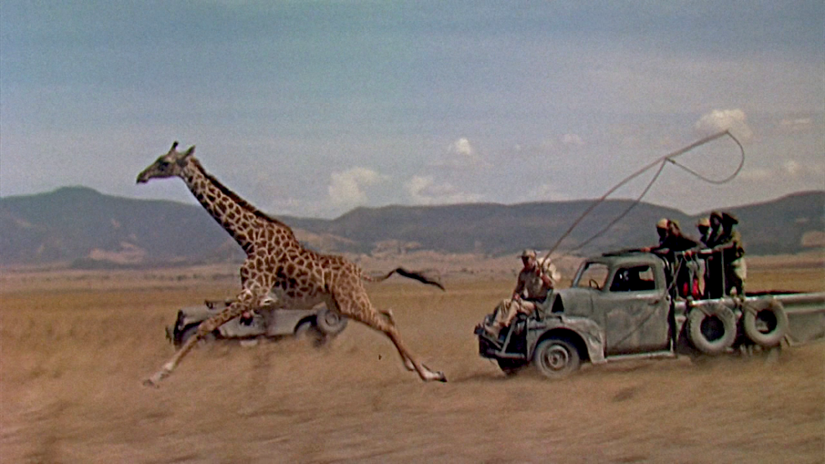 Hatari!, Jean-Marie Buchet, 1963